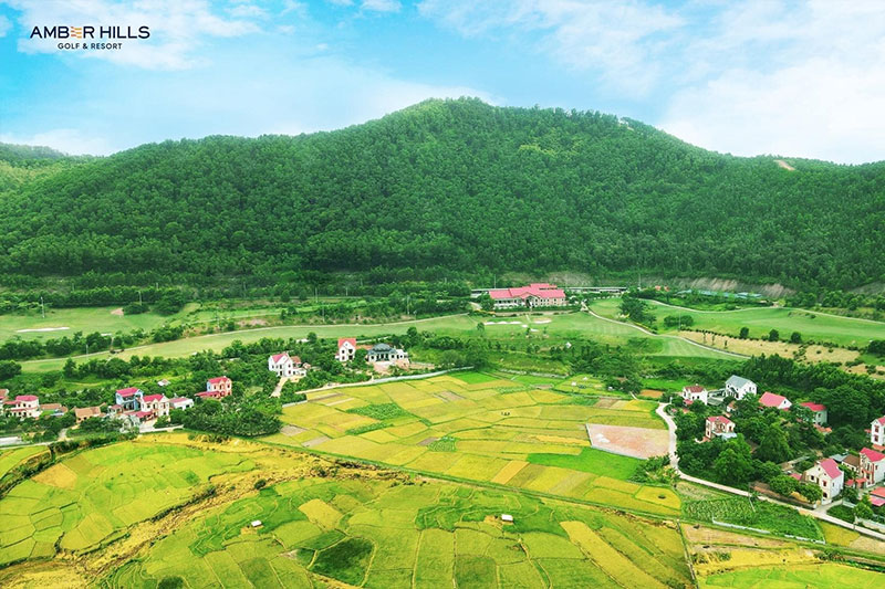 Amber Hills Golf Resort